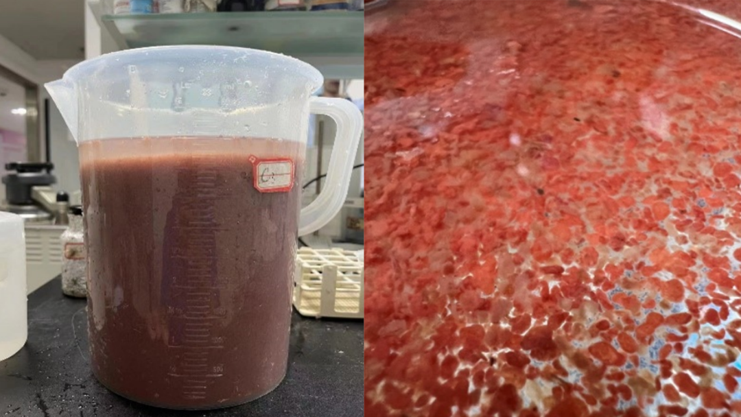 ×ðÁú¿Ê±¡¤(ÖйúÇø)¹Ù·½ÍøÕ¾