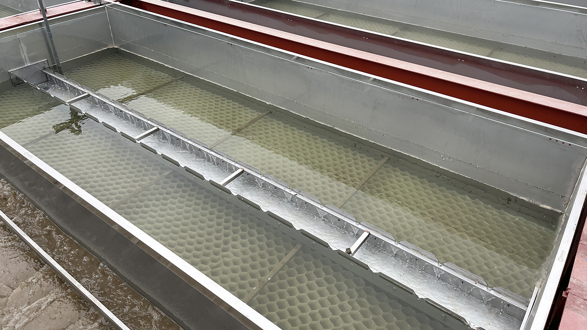 尊龙凯时·(中国区)官方网站